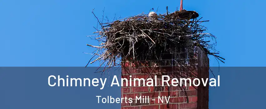 Chimney Animal Removal Tolberts Mill - NV