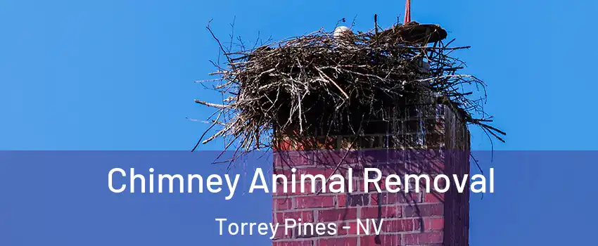Chimney Animal Removal Torrey Pines - NV