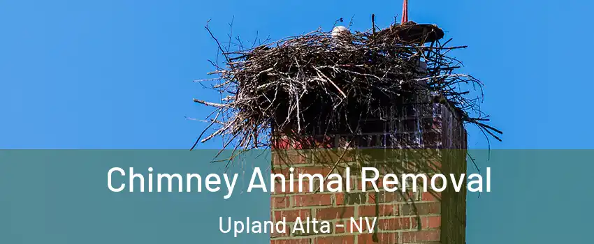Chimney Animal Removal Upland Alta - NV