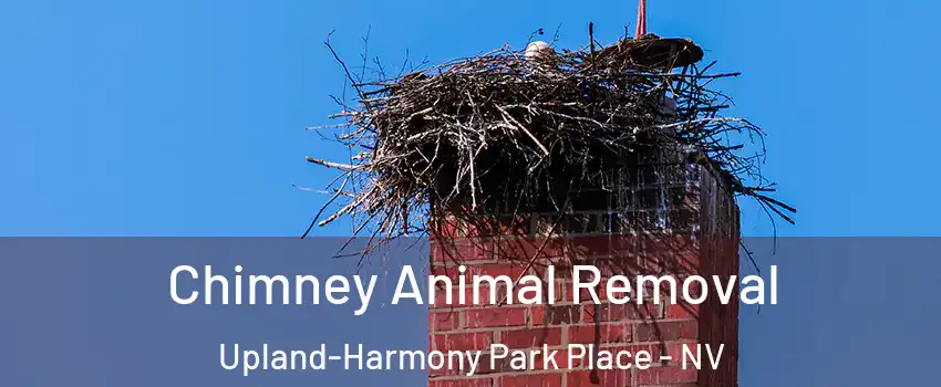 Chimney Animal Removal Upland-Harmony Park Place - NV