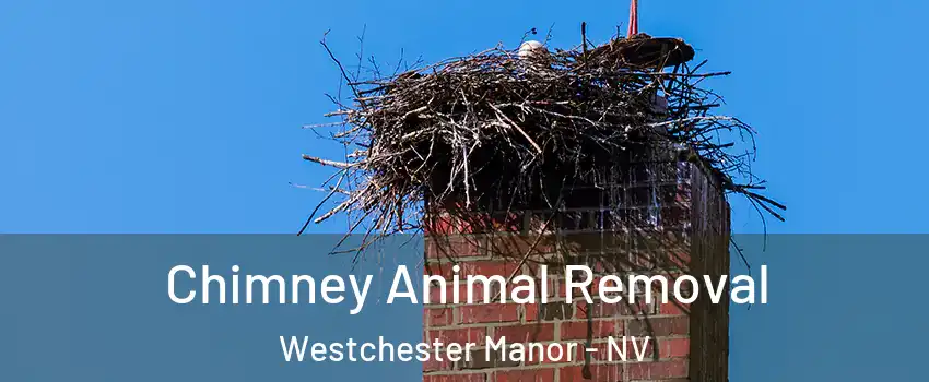 Chimney Animal Removal Westchester Manor - NV