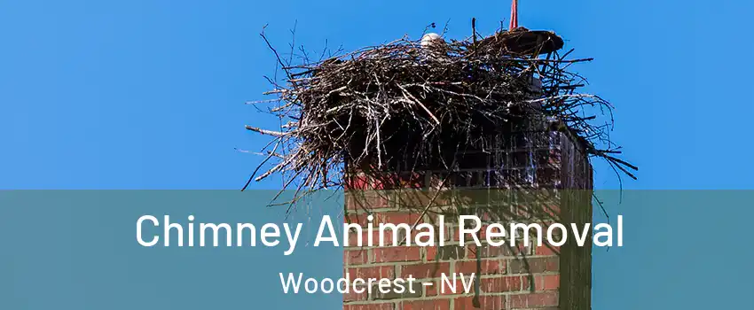 Chimney Animal Removal Woodcrest - NV