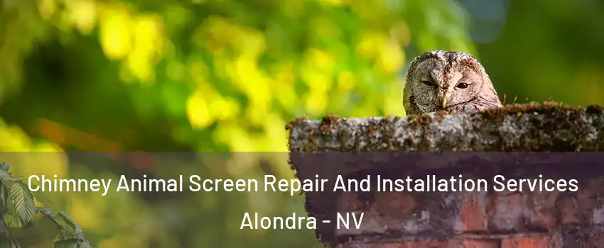 Chimney Animal Screen Repair And Installation Services Alondra - NV
