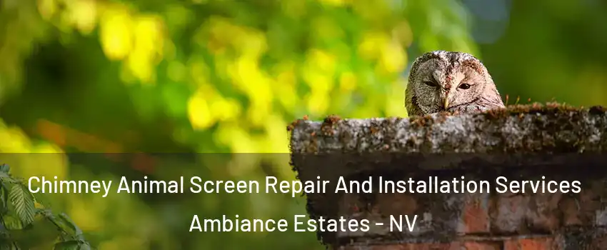 Chimney Animal Screen Repair And Installation Services Ambiance Estates - NV