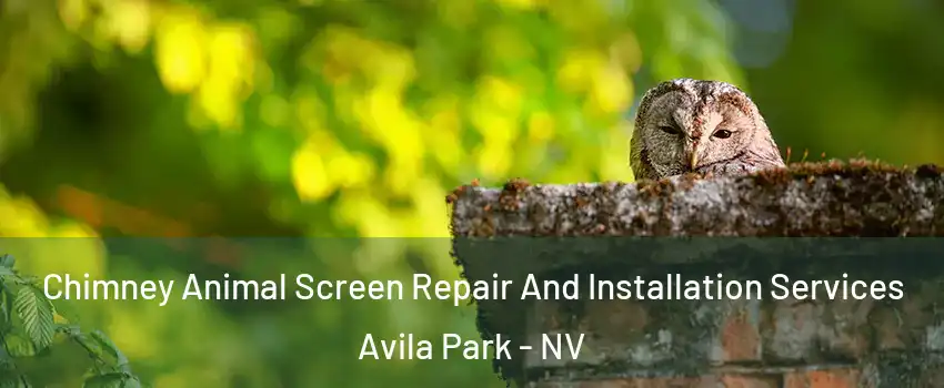 Chimney Animal Screen Repair And Installation Services Avila Park - NV