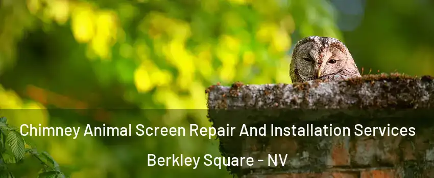 Chimney Animal Screen Repair And Installation Services Berkley Square - NV