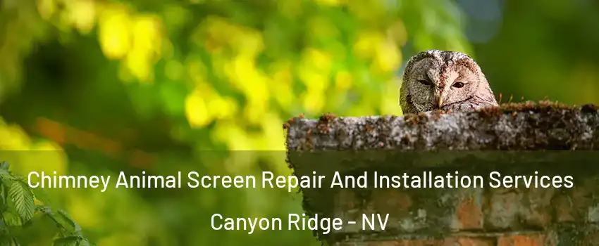 Chimney Animal Screen Repair And Installation Services Canyon Ridge - NV