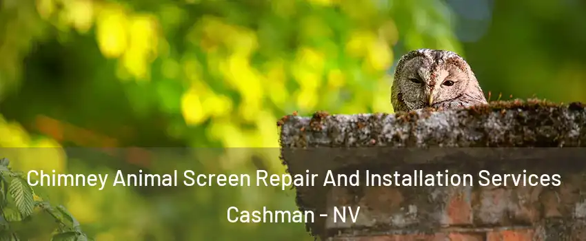 Chimney Animal Screen Repair And Installation Services Cashman - NV