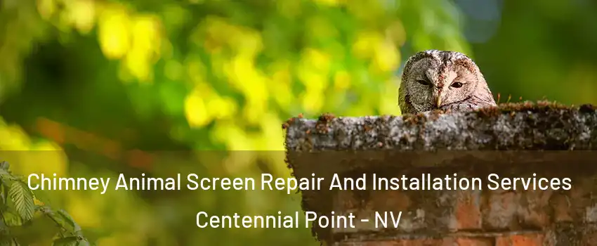 Chimney Animal Screen Repair And Installation Services Centennial Point - NV