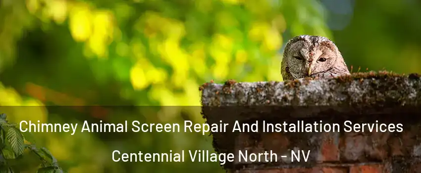 Chimney Animal Screen Repair And Installation Services Centennial Village North - NV