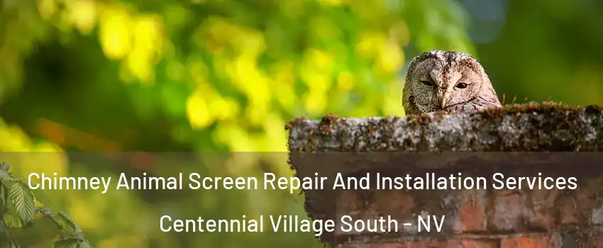 Chimney Animal Screen Repair And Installation Services Centennial Village South - NV