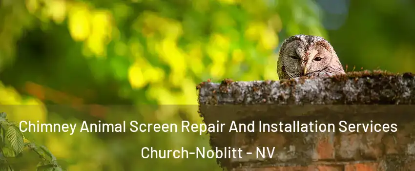 Chimney Animal Screen Repair And Installation Services Church-Noblitt - NV