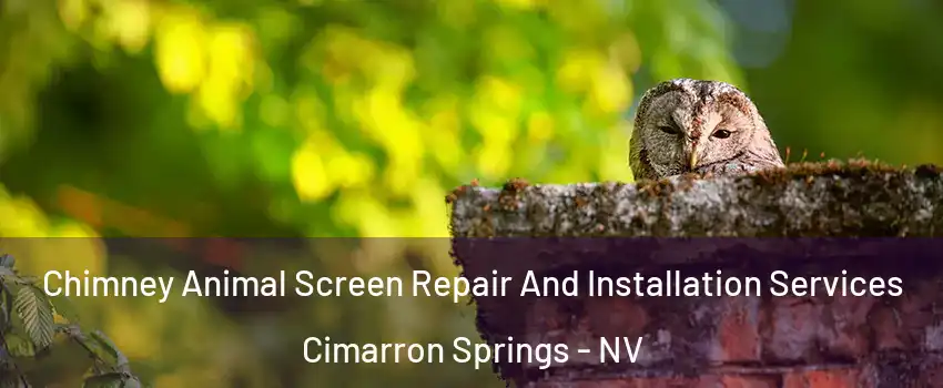 Chimney Animal Screen Repair And Installation Services Cimarron Springs - NV
