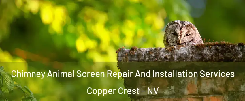 Chimney Animal Screen Repair And Installation Services Copper Crest - NV