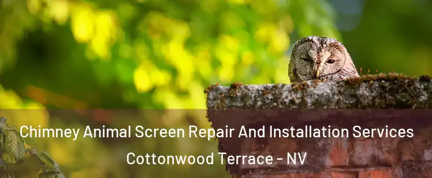 Chimney Animal Screen Repair And Installation Services Cottonwood Terrace - NV