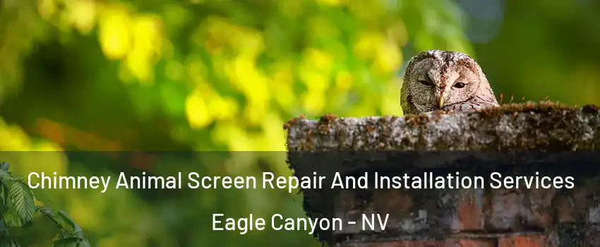 Chimney Animal Screen Repair And Installation Services Eagle Canyon - NV