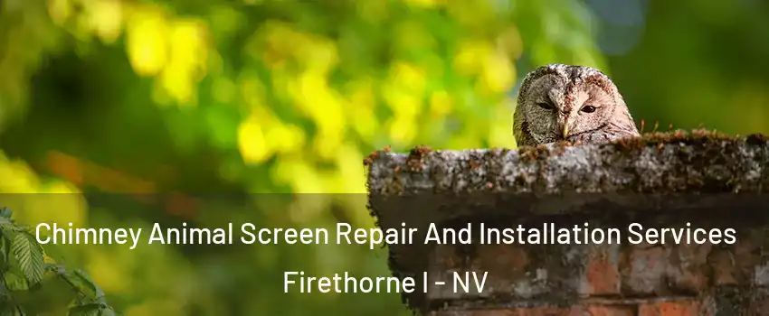 Chimney Animal Screen Repair And Installation Services Firethorne I - NV