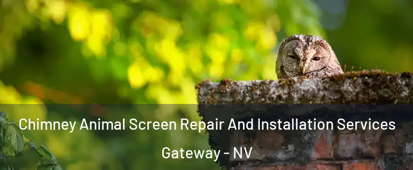 Chimney Animal Screen Repair And Installation Services Gateway - NV