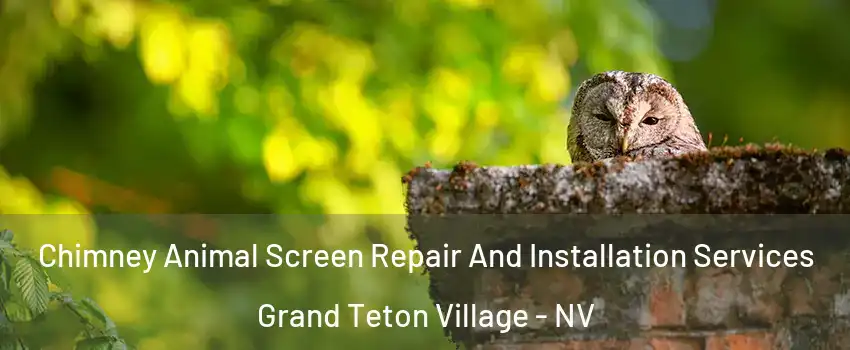 Chimney Animal Screen Repair And Installation Services Grand Teton Village - NV