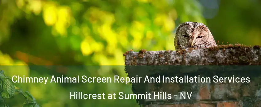 Chimney Animal Screen Repair And Installation Services Hillcrest at Summit Hills - NV