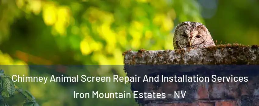 Chimney Animal Screen Repair And Installation Services Iron Mountain Estates - NV