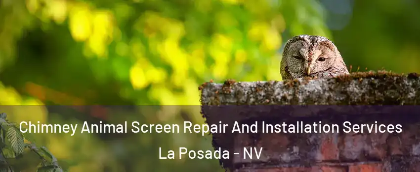 Chimney Animal Screen Repair And Installation Services La Posada - NV