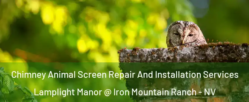 Chimney Animal Screen Repair And Installation Services Lamplight Manor @ Iron Mountain Ranch - NV