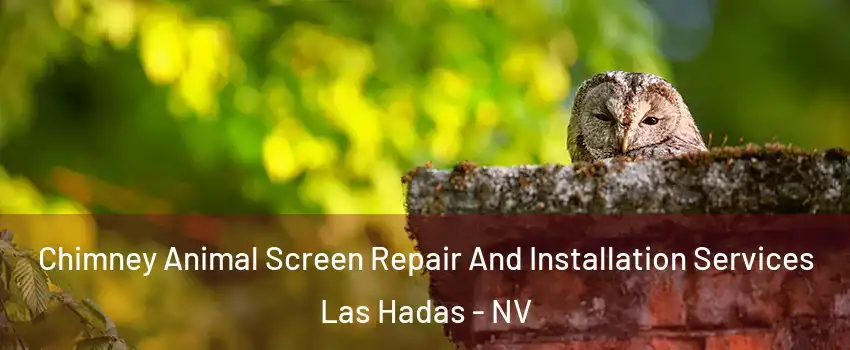 Chimney Animal Screen Repair And Installation Services Las Hadas - NV