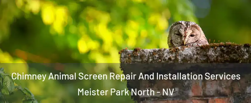 Chimney Animal Screen Repair And Installation Services Meister Park North - NV