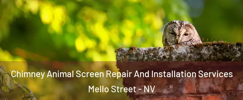 Chimney Animal Screen Repair And Installation Services Mello Street - NV