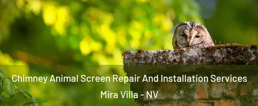 Chimney Animal Screen Repair And Installation Services Mira Villa - NV
