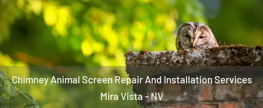 Chimney Animal Screen Repair And Installation Services Mira Vista - NV