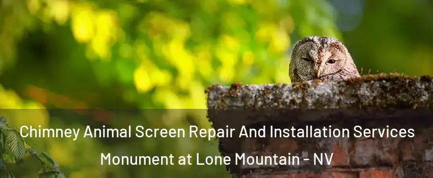 Chimney Animal Screen Repair And Installation Services Monument at Lone Mountain - NV
