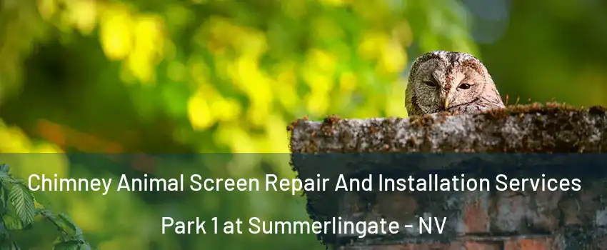 Chimney Animal Screen Repair And Installation Services Park 1 at Summerlingate - NV