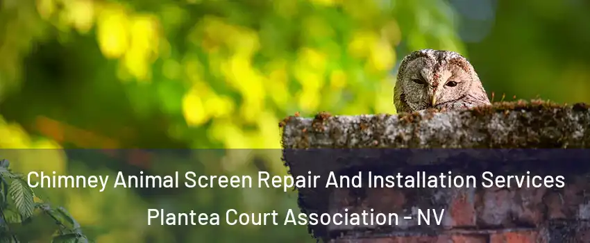Chimney Animal Screen Repair And Installation Services Plantea Court Association - NV