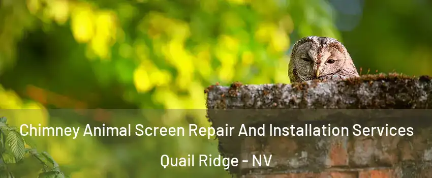 Chimney Animal Screen Repair And Installation Services Quail Ridge - NV