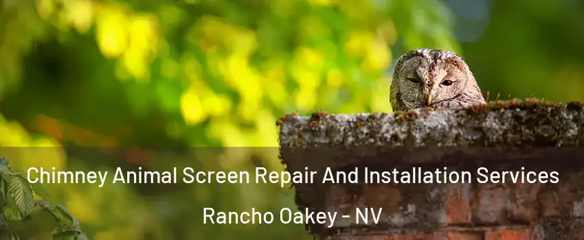 Chimney Animal Screen Repair And Installation Services Rancho Oakey - NV