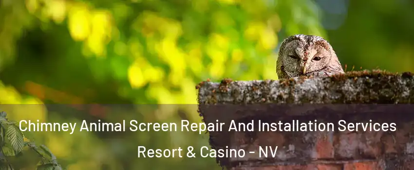 Chimney Animal Screen Repair And Installation Services Resort & Casino - NV