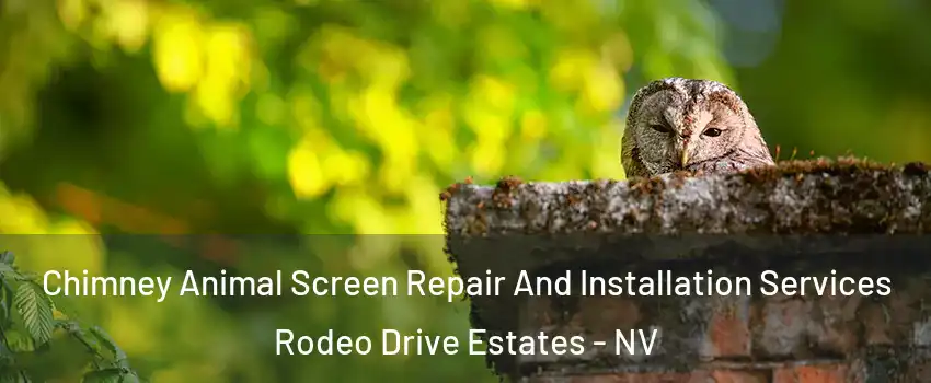 Chimney Animal Screen Repair And Installation Services Rodeo Drive Estates - NV