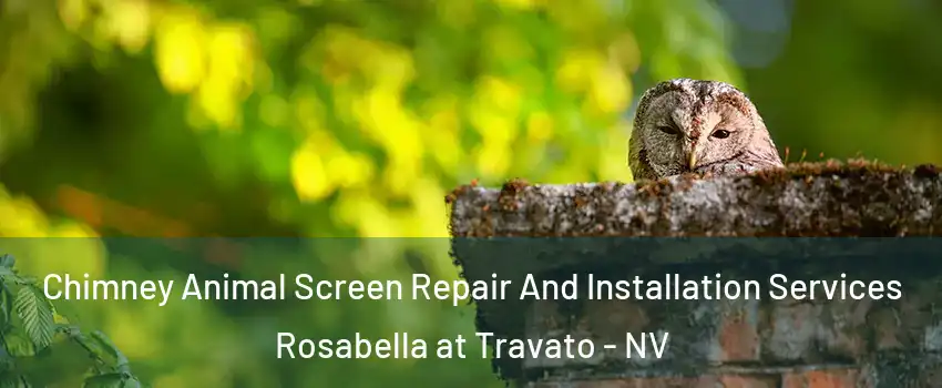 Chimney Animal Screen Repair And Installation Services Rosabella at Travato - NV