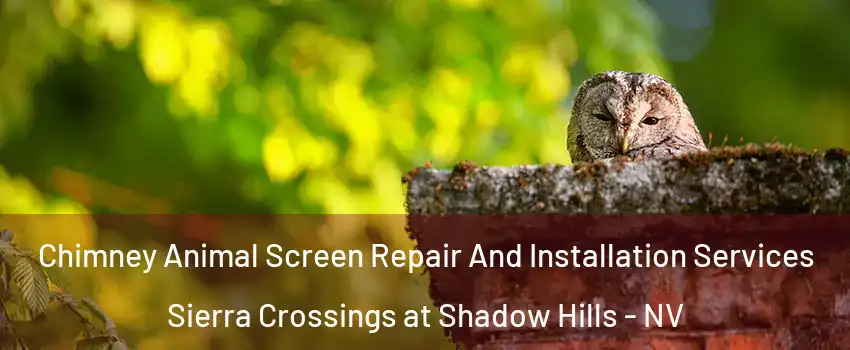 Chimney Animal Screen Repair And Installation Services Sierra Crossings at Shadow Hills - NV