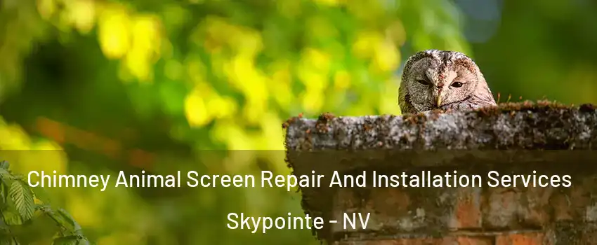 Chimney Animal Screen Repair And Installation Services Skypointe - NV