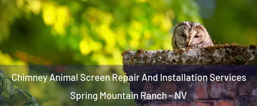 Chimney Animal Screen Repair And Installation Services Spring Mountain Ranch - NV