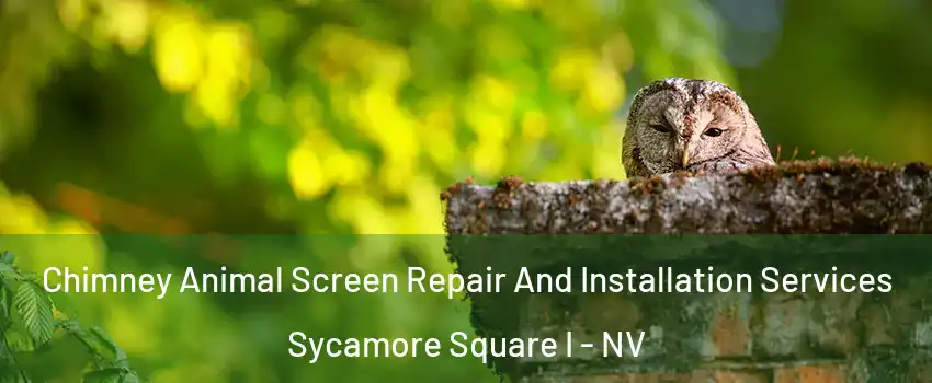 Chimney Animal Screen Repair And Installation Services Sycamore Square I - NV