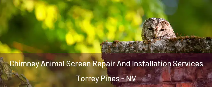 Chimney Animal Screen Repair And Installation Services Torrey Pines - NV