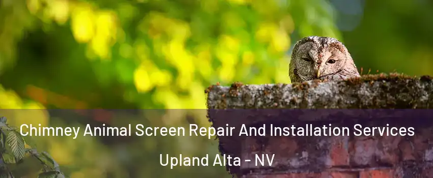 Chimney Animal Screen Repair And Installation Services Upland Alta - NV
