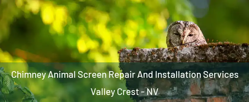 Chimney Animal Screen Repair And Installation Services Valley Crest - NV