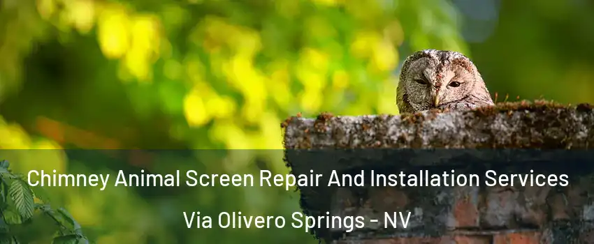 Chimney Animal Screen Repair And Installation Services Via Olivero Springs - NV