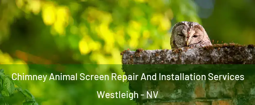 Chimney Animal Screen Repair And Installation Services Westleigh - NV