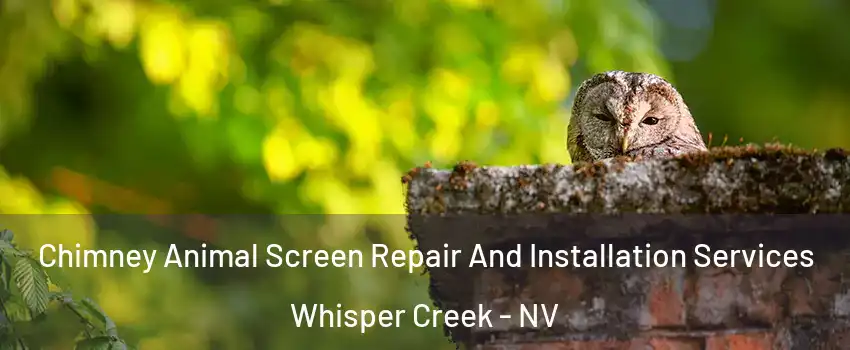 Chimney Animal Screen Repair And Installation Services Whisper Creek - NV